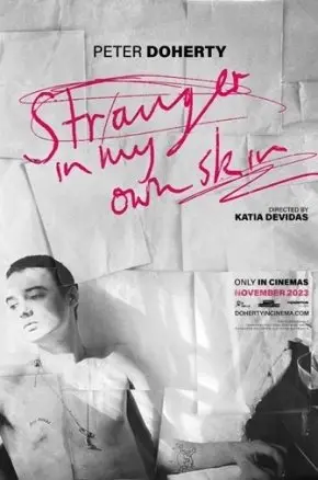 Peter Doherty - Stranger in My Own Skin