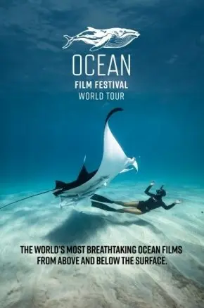 Ocean Film Festival 2024