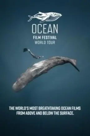 Ocean Film Festival World Tour 2025