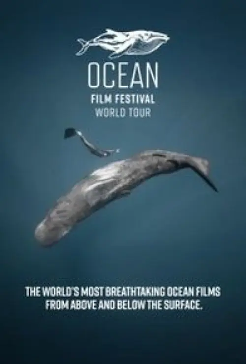 Ocean Film Festival World Tour 2025