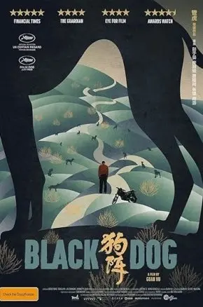Black Dog