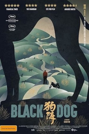 Black Dog