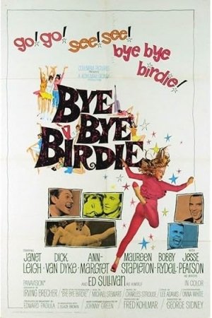 Bye Bye Birdie