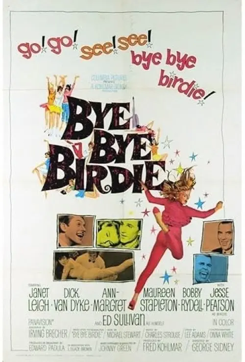 Bye Bye Birdie