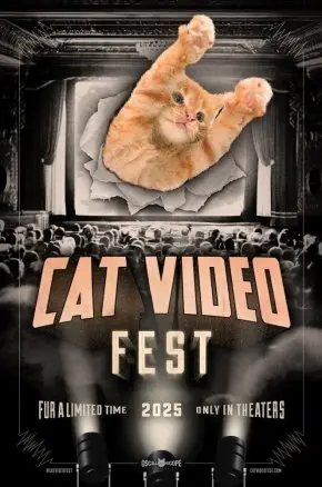 CatVideoFest 2025