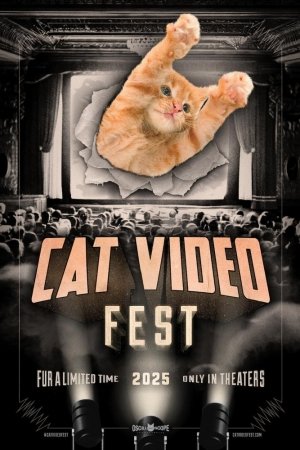 CatVideoFest 2025