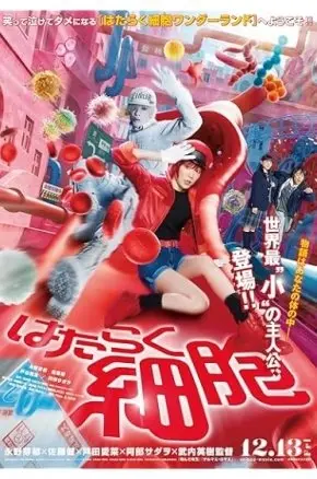 JFF25 Cells at Work!