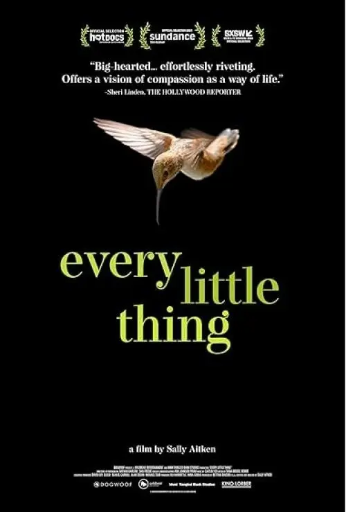 Every Little Thing