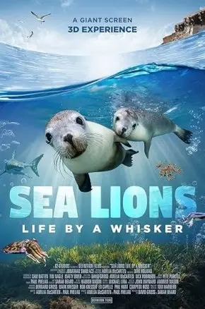 Sea Lions: Life by a Whisker