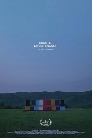 Turnstile: Never Enough