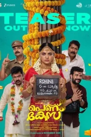 Pennu Case Pennu Case