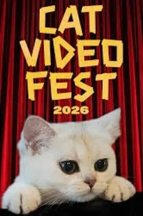 CatVideoFest 2026