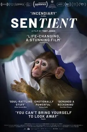 Sentient