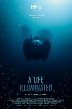 A Life Illuminated A Life Illuminated