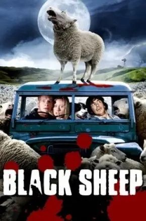 Black Sheeps Black Sheeps