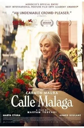 Calle M&aacute;laga