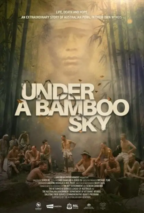 Under a Bamboo Sky