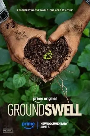 Groundswell Groundswell