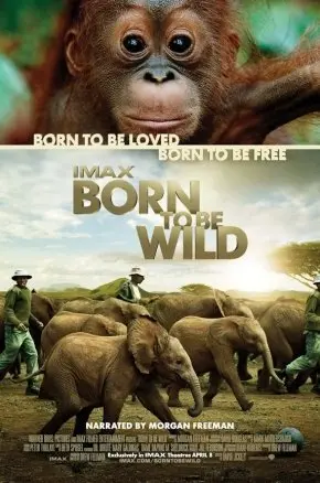 Born To Be Wild