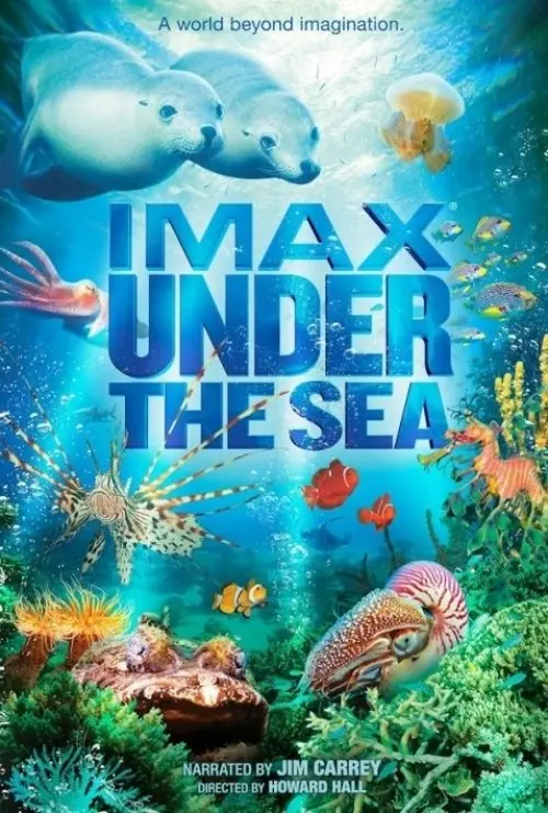 3D Under the Sea