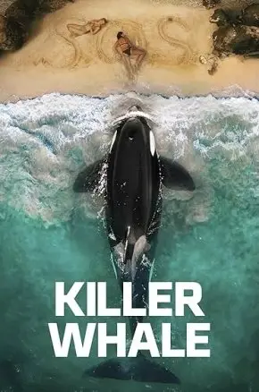 Killer Whale