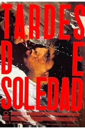 Afternoons of Solitude