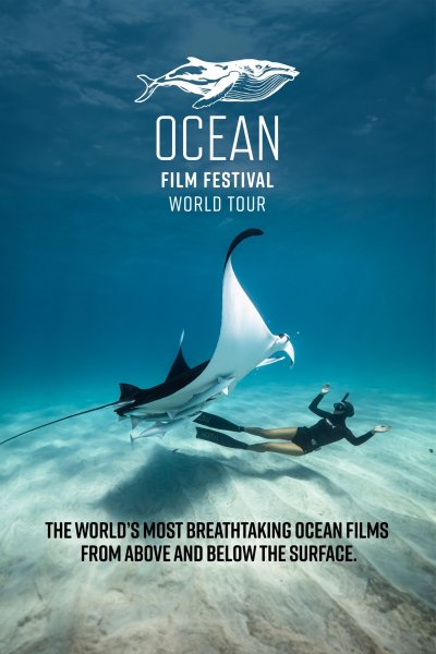 Ocean Film Festival 2024 2024 