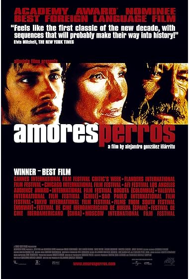 Amores perros