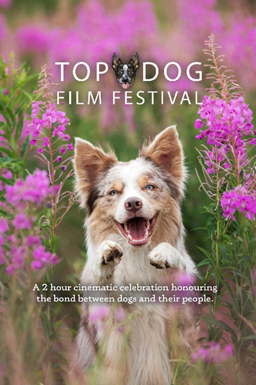 Top Dog Film Festival 2025