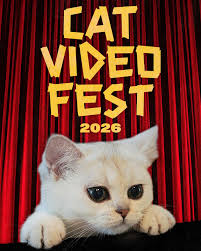 CatVideoFest 2026