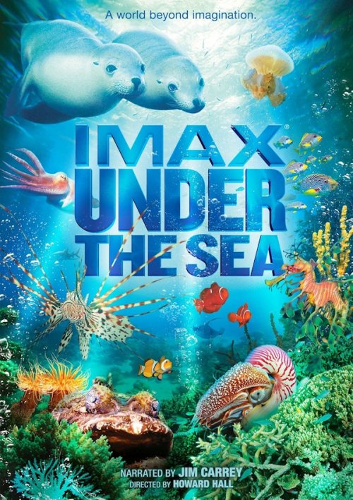 3D Under the Sea